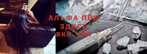 крисы Кодинск