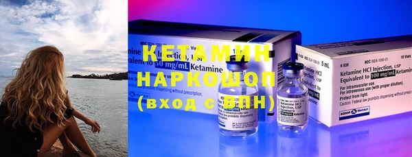 крисы Кодинск