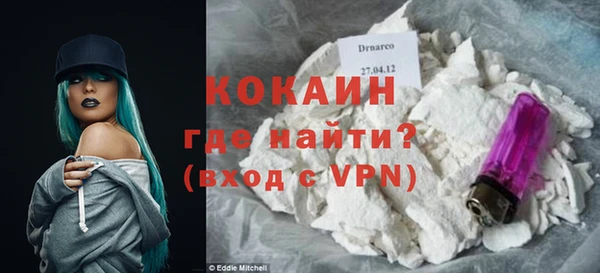 крисы Кодинск