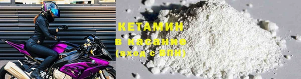 крисы Кодинск