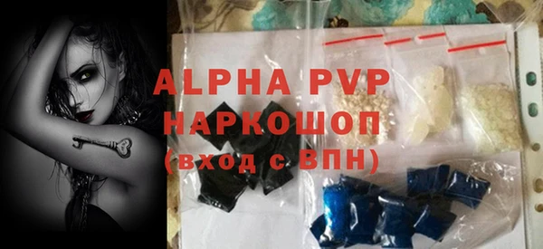 стаф Козловка