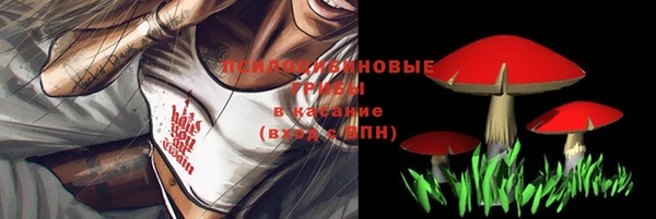 стаф Козловка