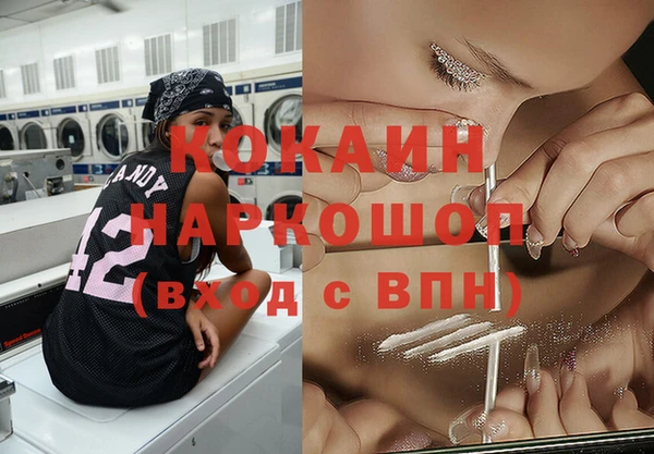 крисы Кодинск