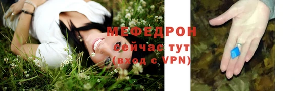 стаф Козловка