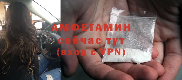 стаф Козловка