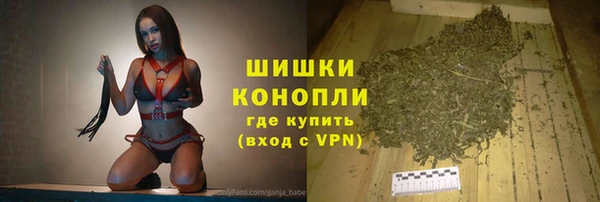 стаф Козловка
