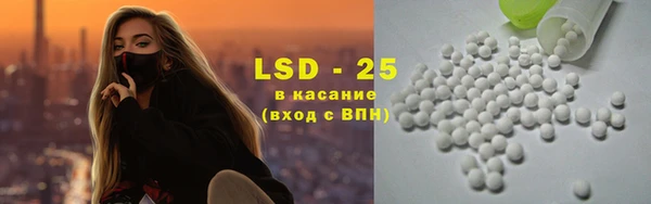 стаф Козловка