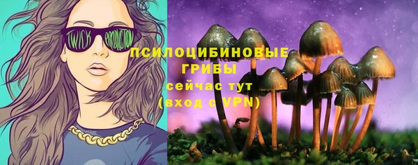 а пвп мука Козельск