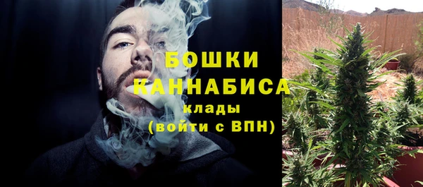крисы Кодинск