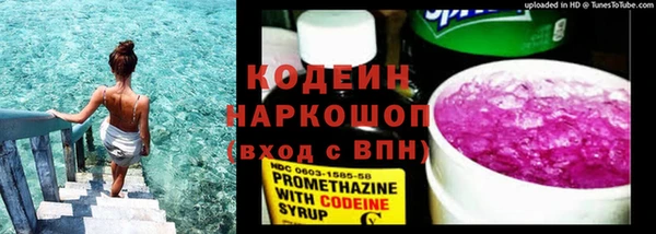 стаф Козловка