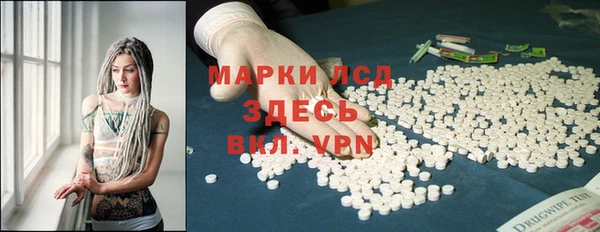 стаф Козловка