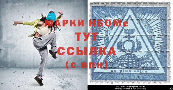 стаф Козловка